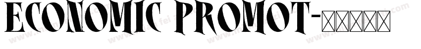 ECONOMIC PROMOT字体转换